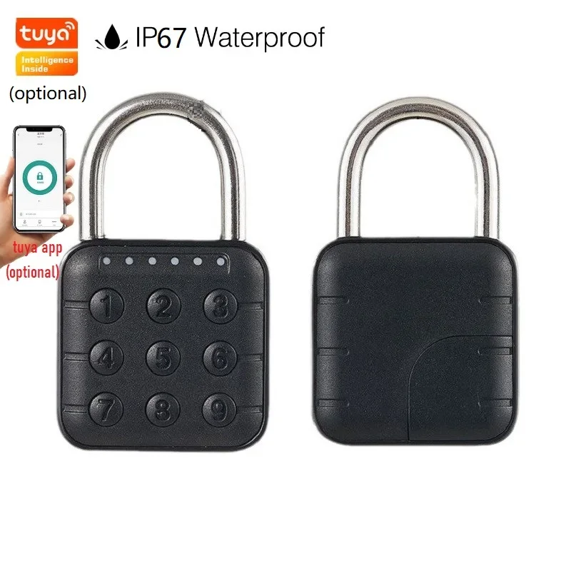Smart Home Wellness - EGFirtor Tuya Smart Home candado Digital